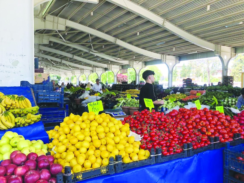 ENAG enflasyonu aylık 2,10, yıllık 46,61 olarak açıkladı