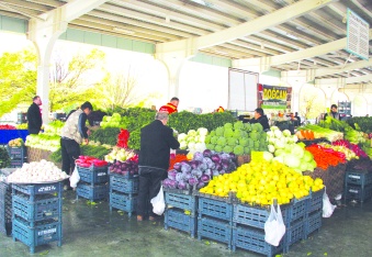 Tarım alanlarının amaç dışı kullanımı  gıda üretiminin geleceğini tehdit ediyor