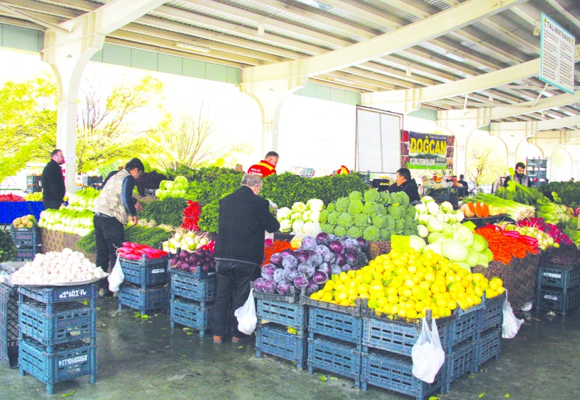 Tarım alanlarının amaç dışı kullanımı  gıda üretiminin geleceğini tehdit ediyor