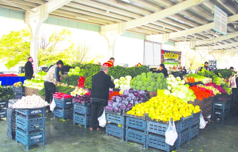 Tarım alanlarının amaç dışı kullanımı  gıda üretiminin geleceğini tehdit ediyor