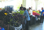 Gıdaya en yüksek payı Güneydoğu Anadolu bölgesi ayırdı