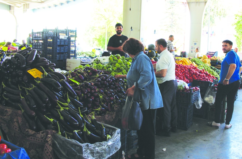 Gıdaya en yüksek payı Güneydoğu Anadolu bölgesi ayırdı