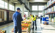 Kurallara aykırı bozulabilir gıda taşımanın cezası 6 katına çıktı