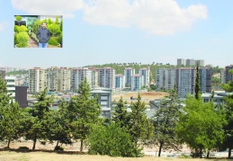 Taşkın riski bulunan bölgelerde  yapılaşmaya izin verilmemeli