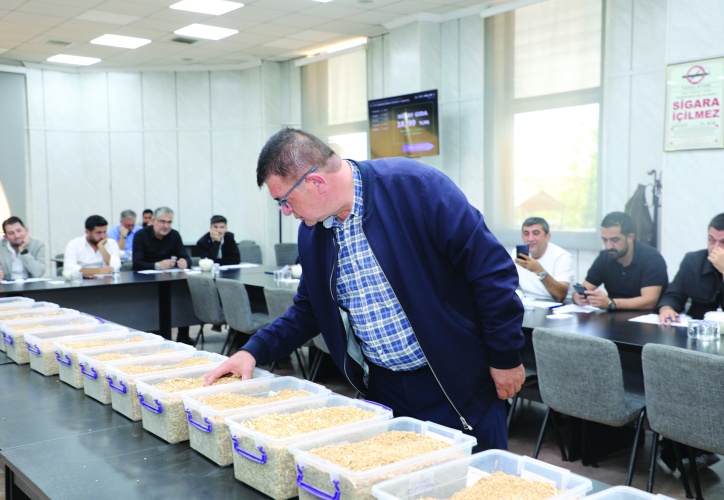 Ceylanpınar’da üretilen nohut ve buğday satıldı