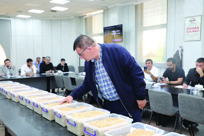 Ceylanpınar’da üretilen nohut ve buğday satıldı