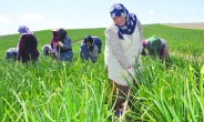 “Üretici kazanamıyor, tüketici   ucuz ve sağlıklı gıdaya ulaşamıyor”