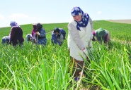 “Üretici kazanamıyor, tüketici   ucuz ve sağlıklı gıdaya ulaşamıyor”