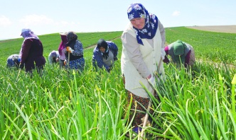 “Üretici kazanamıyor, tüketici   ucuz ve sağlıklı gıdaya ulaşamıyor”