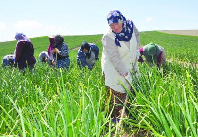 “Üretici kazanamıyor, tüketici   ucuz ve sağlıklı gıdaya ulaşamıyor”