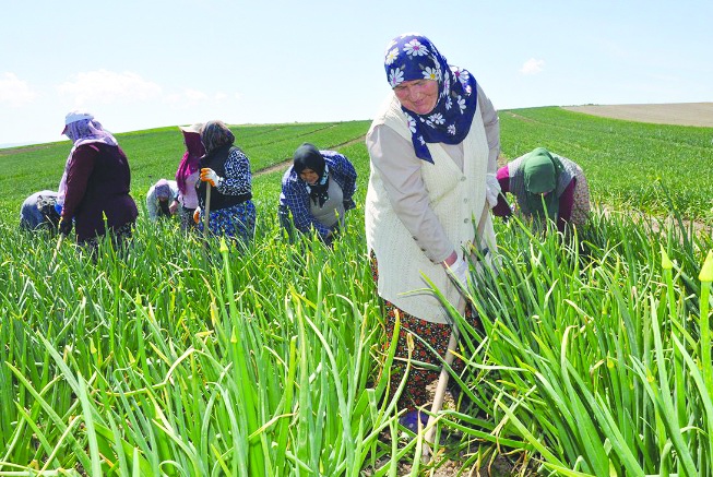 “Üretici kazanamıyor, tüketici   ucuz ve sağlıklı gıdaya ulaşamıyor”