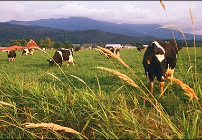 2014-2108 yılları arasında hibe desteği programı uygulanacak