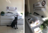30 adrese eş zamanlı baskın düzenlendi