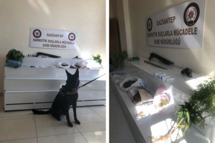30 adrese eş zamanlı baskın düzenlendi