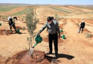 4 bin 100 fidan dikildi