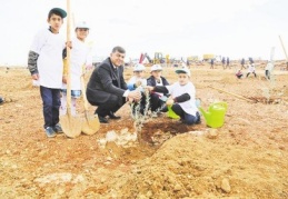 10 bin 500 fidan dikilecek