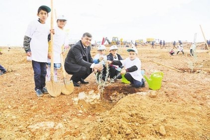10 bin 500 fidan dikilecek
