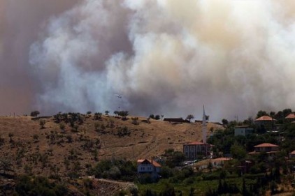 6 bin 500 hektar orman alanı yok oldu