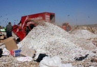 76 bin 660 karton gümrük kaçağı sigara ele geçirildi