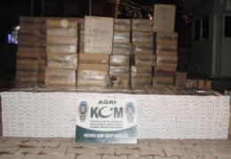 76 bin 660 karton gümrük kaçağı sigara ele geçirildi