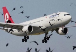 "197 bin 158 uçaktan 255'i pas geçiyor"