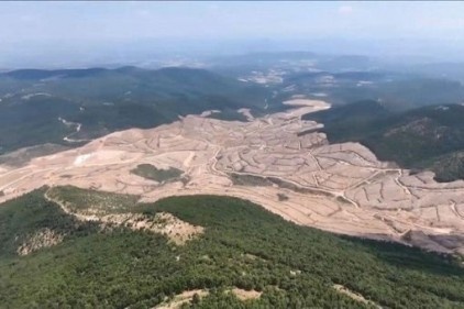 "14 bin fidan ağaç sayılmıyor"