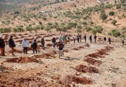 19 bin fidan daha toprakla buluşturulacak
