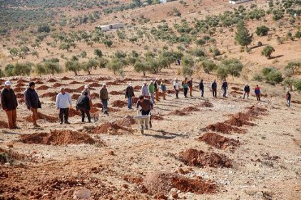19 bin fidan daha toprakla buluşturulacak