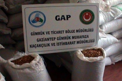 59 bin kilogram badem içi ele geçirildi