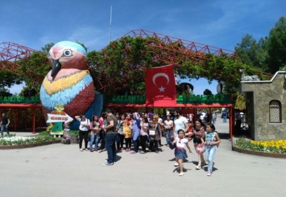 76 bin kişi sevimli dostları ziyaret etti
