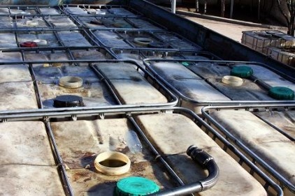 35 bin litre gümrük kaçağı akaryakıt ele geçirildi