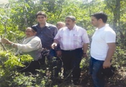 3 bin menengiç ağacına 5 bin Antepfıstığı göz aşısı yapıldı