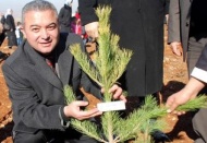 55 bin metrekare alana 5 bin adet fidan dikildi