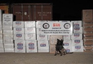 101 bin paket gümrük kaçağı sigara ele geçirildi