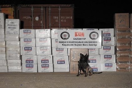 101 bin paket gümrük kaçağı sigara ele geçirildi 