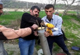 18 binden fazla ağaca aşı uygulandı