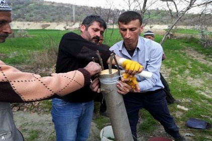 18 binden fazla ağaca aşı uygulandı