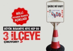 29 büyük ikramiye üç ilçeye çıktı