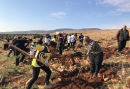 400 çam fidanı toprakla buluştu