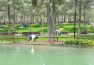 62 çeşit yeni bitki dikildi