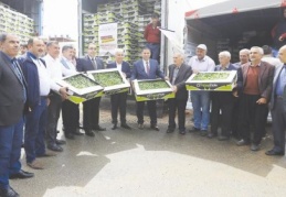 100 çiftçiye 4 milyon biber fidesi dağıtıldı 