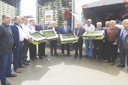 100 çiftçiye 4 milyon biber fidesi dağıtıldı 