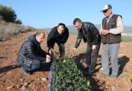 130 dekar alanda suni trüf ormanları kuruldu