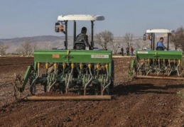 1200 dekara ekilecek tohumdan 240 ton mahsul bekleniyor