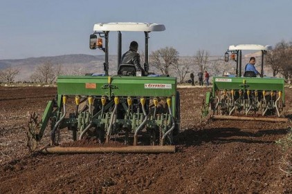 1200 dekara ekilecek tohumdan 240 ton mahsul bekleniyor