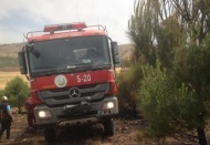 10 dönüm ağaç ve çalılık alan kül oldu