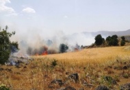 250 dönümlük ekili alan kül oldu