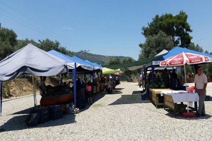 &#8220; DÜNYANIN 8. HARİKASI &#8221; (*) : ARAPAPIŞTI KANYONU