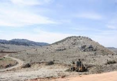 12. Etap Bi Dünya Yeşil Ormanı Bayatlı Mahallesi’nde oluşturuluyor