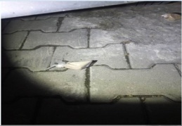 1,40 gram esrar, 53,80 gram eroin maddesi ele geçirildi